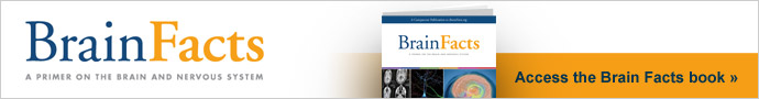 Download the Brain Facts book.